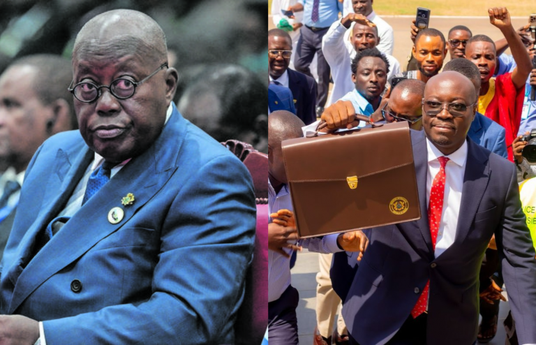 ‘NPP 2038’ – Unknown person shouts in excitement as Ato Forson presents 2025 budget