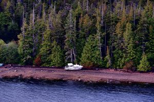 Alaska Black Caucus CEO talks celebrating Black History Month