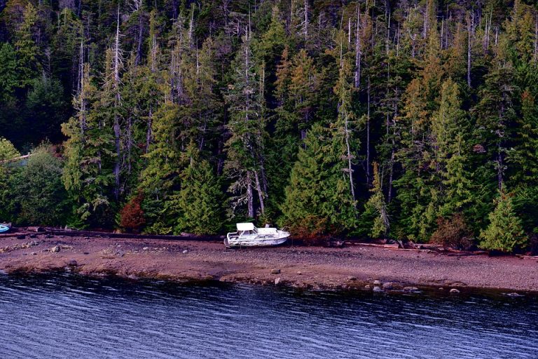 Alaska Black Caucus CEO talks celebrating Black History Month