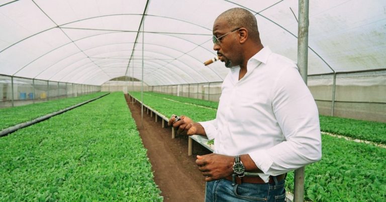 Black cigar smokers find community — and business opportunities — amid the pandemic