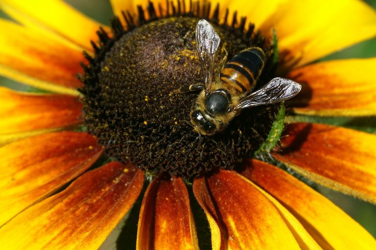 Cause of death revealed for Maryland man found dead on Bahamas beach